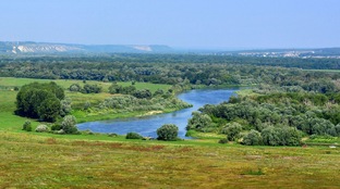 Природа вокруг рыбалки