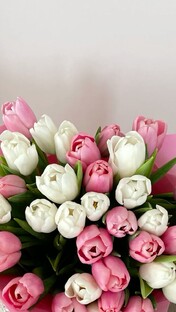 Подписывайся здесь 