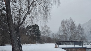 Прогулки. Вопрос-ответ. Про комментарии. 