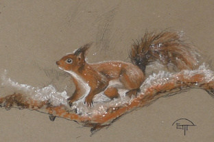 Авторский курс: "Итальянский рисунок"