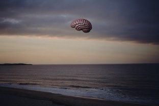 Нейропластичность мозга