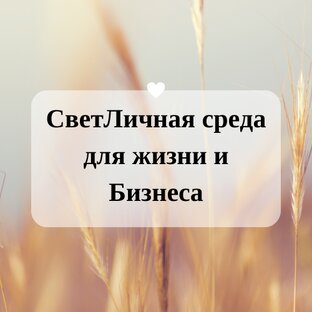 СветЛичная среда для Жизни и Бизнеса