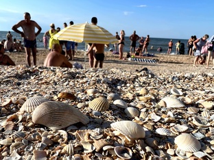 Реальные истории переехавших с нами в Краснодарский край