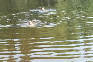 Где-то в начале