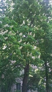 Про реновацию, недвижимость и деньги