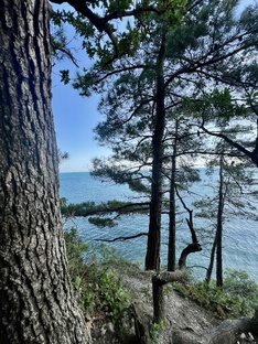 Курорты Черноморского побережья