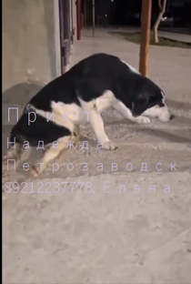 БУБЛИК
