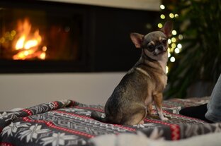 Преступление, которого не было