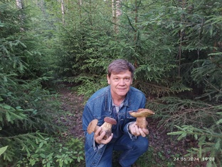 За грибами