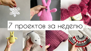 Неделя стартов