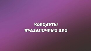 Концерты Праздничные Дни