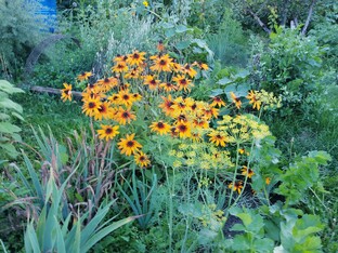 Одинокая женщина на даче: трудно это или нет