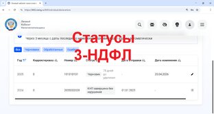 Статусы деклараций 3-НДФЛ