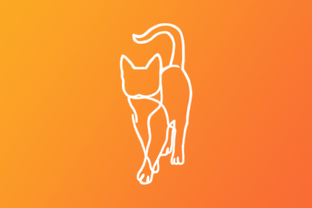 Кошки, которые ищут дом