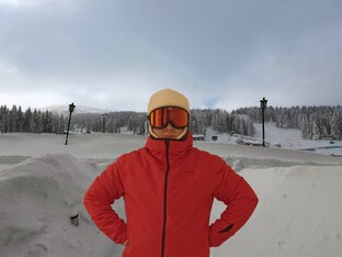 Горные лыжи