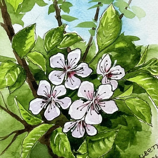 Родные просторы