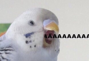 Неприятная правда