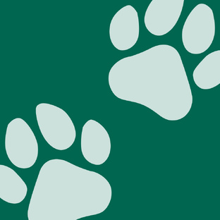 Собаководам на заметку!