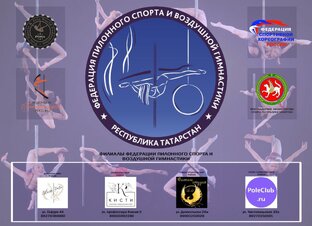 Polesport | aerial детские тренировки 