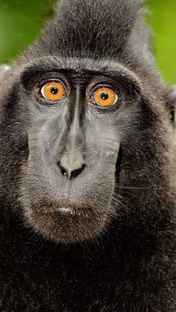 Невыдуманные истории