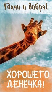 Юмор
