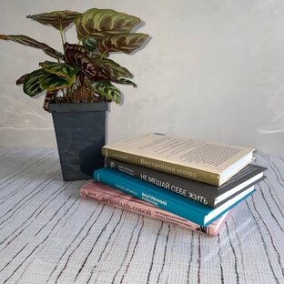 Книги, которые нужно прочесть каждой женщине