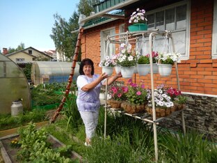 Статьи о саде и огороде.. с видеороликами. Домашний рассадник.