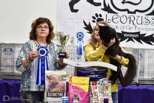 🏆 КотоВыставки: Наши звёздные моменты!