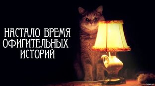 Байки от мдюшат