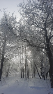 А чем знаменателен сегодняшний день