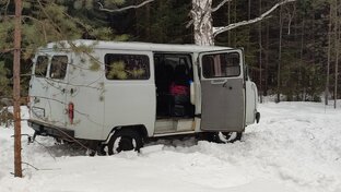 Леса и путешествия 