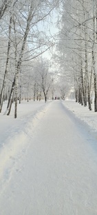 Личные истории. 