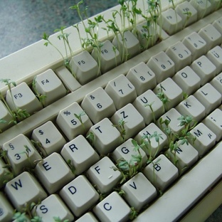 Лето — это…