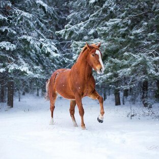 Год в лёгкости