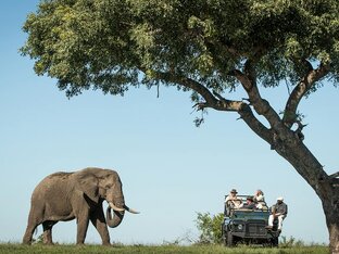 Туры в Африку
