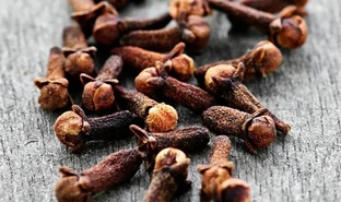 ГВОЗДИКА В НАРОДНОЙ МЕДИЦИНЕ