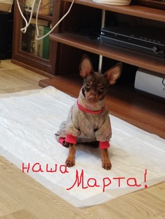 Наша Марта