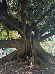 Терапия самопознани
