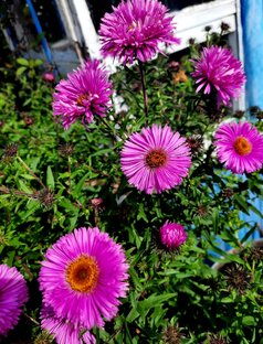 Работа - часть нашей жизни.