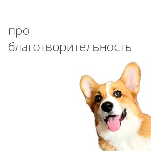 про благотворительность