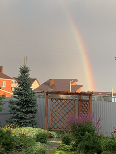 Дом или Квартира на земле.