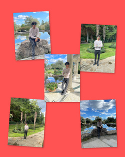 Мероприятия и поездки