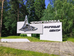 Черноголовка 
