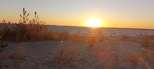 Дневник апокалипсиса