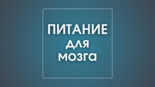 Питание для мозга