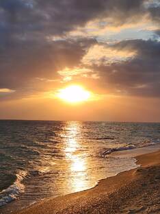 Природа для медитации (без текста)