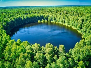 АНОМАЛЬНАЯ ЗОНА