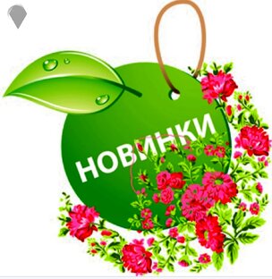 Новые поделки