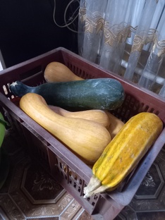 Как сохранить овощи в зимнее время до весны 