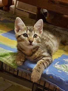 ЗверьЁ  моё 